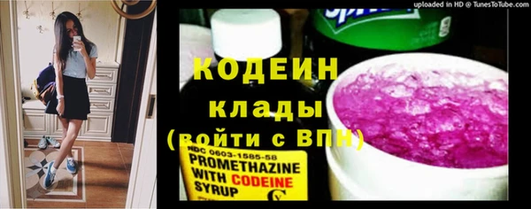 дурь Няндома