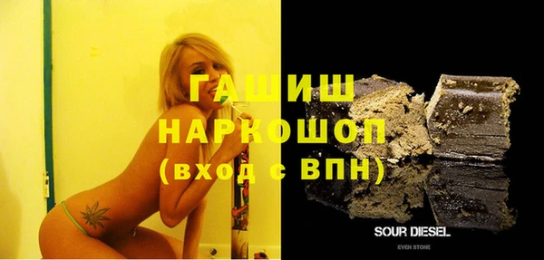 дурь Няндома