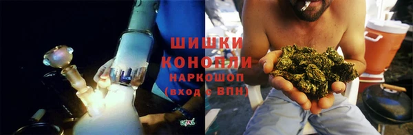 дурь Няндома