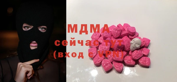дурь Няндома