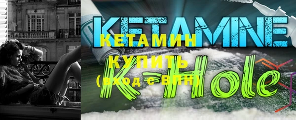 дурь Няндома