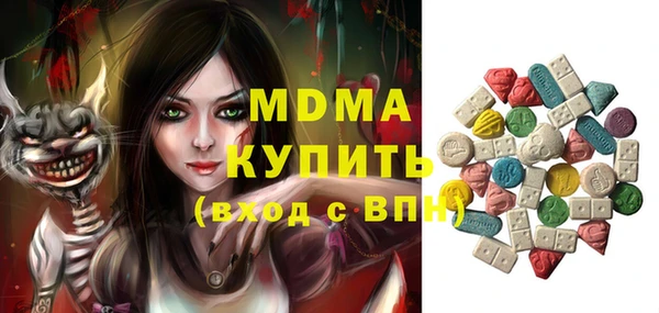 дурь Няндома