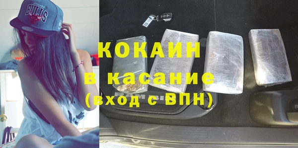 дурь Няндома