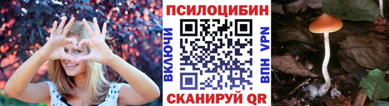 купить   Асбест  Псилоцибиновые грибы прущие грибы 