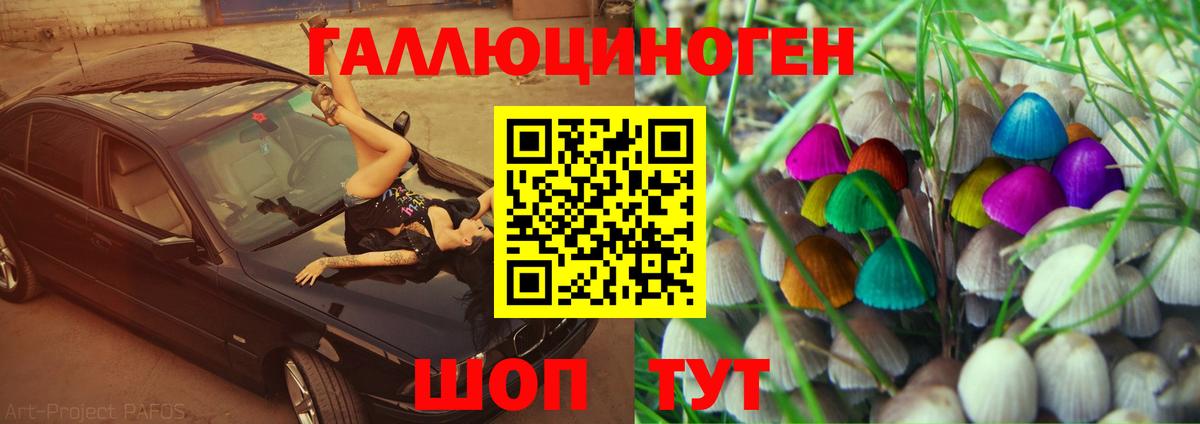 купить наркотики цена  Псилоцибиновые грибы Psilocybine cubensis  Вход с VPN  Асбест 